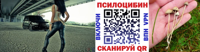 Галлюциногенные грибы GOLDEN TEACHER магазин продажи наркотиков Махачкала