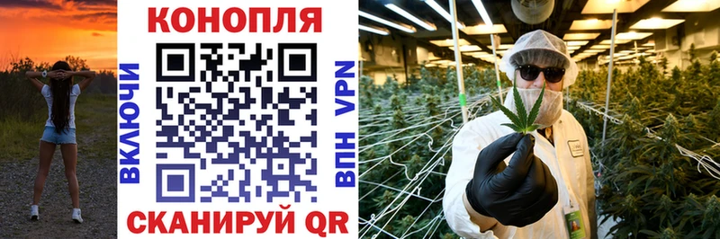 MEGA ONION Махачкала Бошки Шишки тримм купить